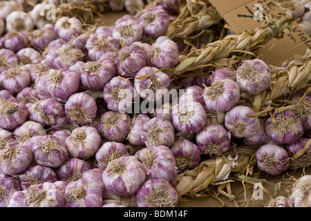 Knoblauchzehen in St Remy Markt. Stockfoto