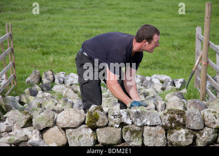 Mann, die Teilnahme an einer Trockenmauer bauen Demonstration bei Malham Agricultural Show, Malhamdale, Yorkshire Dales Stockfoto