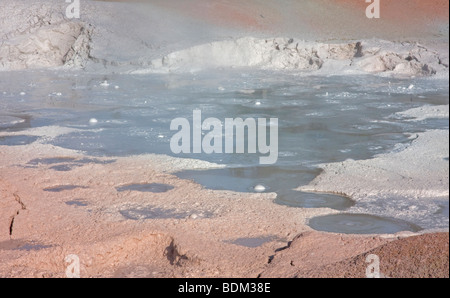 Mudpot, Fountain Paint Pot Trail, Yellowstone-Nationalpark Stockfoto