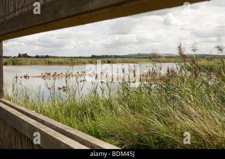 "Bird Hide" Ansicht von Feuchtgebieten, RSPB Otmoor Nature Reserve, Oxfordshire, England, UK Stockfoto