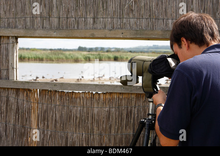 RSPB-Chefin, die Vögel zu beobachten, durch Teleskop aus "Bird Hide", Otmoor Nature Reserve, Oxfordshire, England, UK Stockfoto