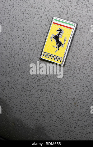 Ferrari Abzeichen Pferd logo mit Regentropfen Stockfoto