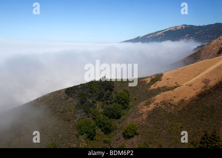 Nebelbank an der Big Sur Küste, Kalifornien. Stockfoto