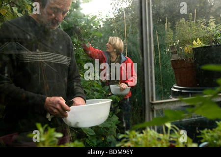 Selbstversorgung Stockfoto