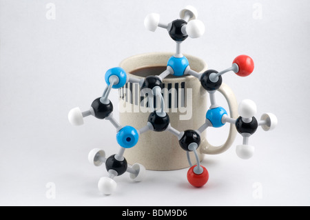 Molekulare 3D-Modell Koffein. Stockfoto