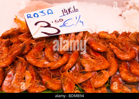 Spanien, Stadt von Valencia, Plaza del Mercado Central Market, gebaut 1926 Fisch Stall, Anzeige der rote Garnelen oder shrimps Stockfoto