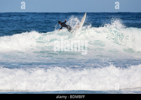 Surfer am Bondi Beach in Sydney, Australien Stockfoto