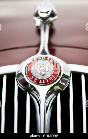 Jaguar-MK11 3,8-Liter-Limousine. Springende Jaguar Maskottchen und Logo, britische Oldtimer Stockfoto