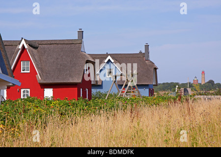 moderne reetgedeckte Häuser, Insel Rügen, Ostseeküste, Norddeutschland Stockfoto