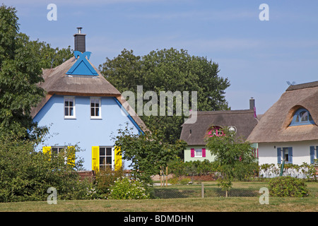 moderne reetgedeckte Häuser, Insel Rügen, Ostseeküste, Norddeutschland Stockfoto