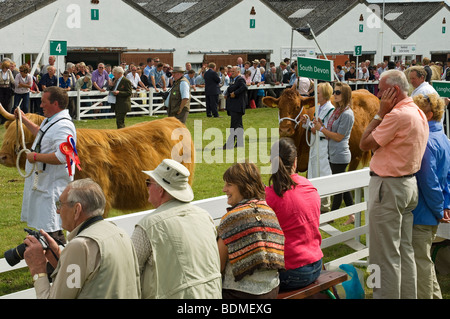 Leute, die Parade der Rinder im Großen Yorkshire zeigen im Sommer Harrogate, North Yorkshire England UK Vereinigtes Königreich GB Grossbritannien Stockfoto