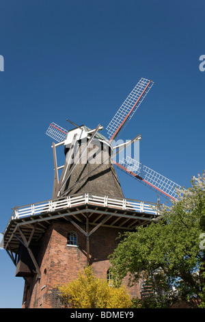 Aurora Mühle in Borstel, holländische Mühle mit Galerie und gemauerten Unterbau, Altes Land/Region, Unterelbe, Niedersachsen, Nord-Keim Stockfoto