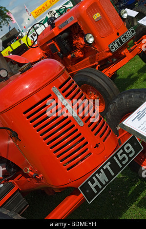 Oldtimer Traktoren auf dem Display an der Great Yorkshire Show Harrogate North Yorkshire England UK Großbritannien GB Großbritannien Stockfoto