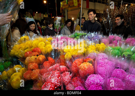 Menschen kaufen Blumen Flower Market Road in Mongkok, Hong Kong, über das chinesische Neujahr. Stockfoto