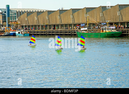 Scheveningen Flag Day (Vlaggetjesdag), 13. Juni 2009, Niederlande Stockfoto