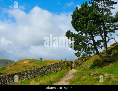 Zwei Wanderer auf der Pennine Way in der Nähe von oberen Stand Edale Tal, Peak National Park, Derbyshire, England UK Stockfoto