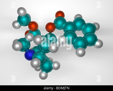 dreidimensionale, raumfüllende, computergenerierte Molekülmodell von Kokain Stockfoto