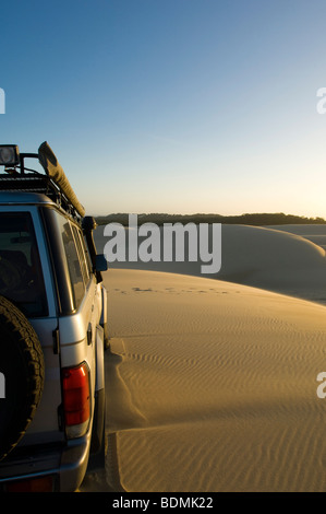 Toyota Landcruiser auf Düne am Stockton Beach, Newcastle, New South Wales, Australien Stockfoto