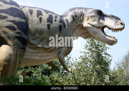 Tyrannosaurus Rex, wirkliche Größe Replik, 2009 Stockfoto