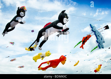 Drachenfestival Stockfoto