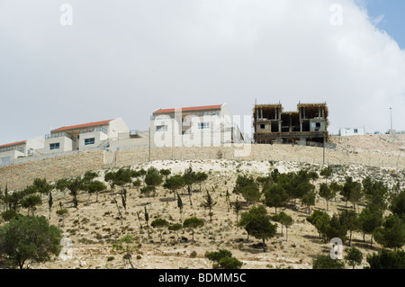 Das Baugewerbe Ma'ale Adumim, einer der größten israelischen Siedlungen beschlagnahmten palästinensisches Land bebaut. Stockfoto