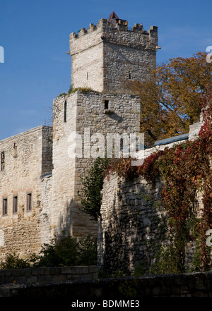 Eckartsberga, Eckartsburg Mit Jungfernturm Und Westlichem Bergfried Stockfoto