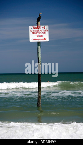 Ein Zeichen, auf die ein Kormoran sitzt verbietet alle Wasseraktivitäten ab diesem Zeitpunkt, Daytona Beach, Florida, USA, Nordamerika Stockfoto