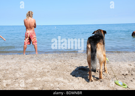 Hund und Surfer am Strand Stockfoto