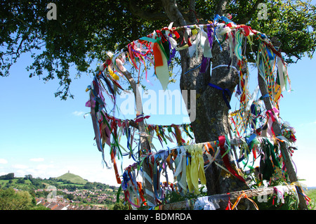 Heiligen Dornenbaum auf Wearyall Hill mit Glastonbury Tor in der Ferne. Somerset. England-Großbritannien Stockfoto