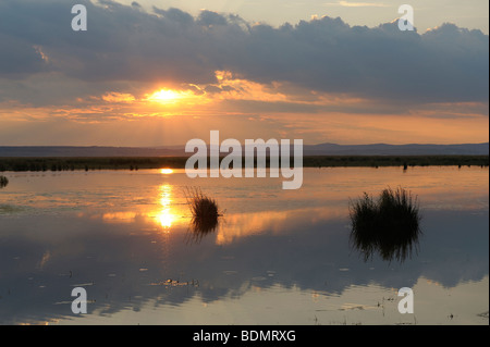 Sonnenuntergang am See Neusiedlersee, Illmitz, Burgenland, Österreich, Europa Stockfoto