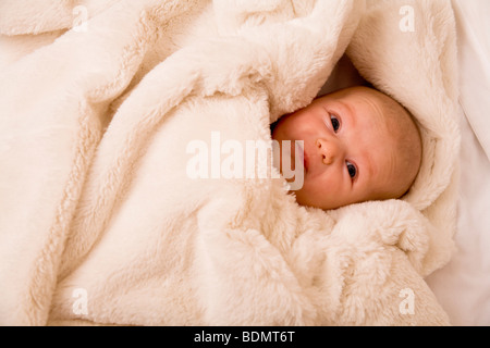 Ein zwei Monate altes Mädchen wird in eine flauschige Decke eingehüllt. Stockfoto