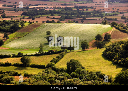 Blick vom Sutton Bank, über die Landschaft, North Yorkshire, England, UK Stockfoto