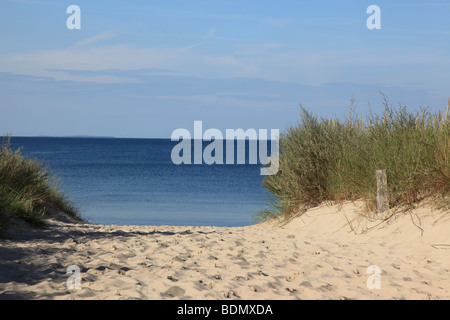 sandigen Dünen Weg zum Strand auf der Insel Usedom, Vorpommern, Ostsee, Deutschland. Foto: Willy Matheisl Stockfoto