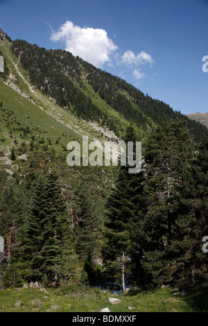 Das Tal über den Port d ' Espagne in Le Parc National Des Pyrenäen in Frankreich Stockfoto