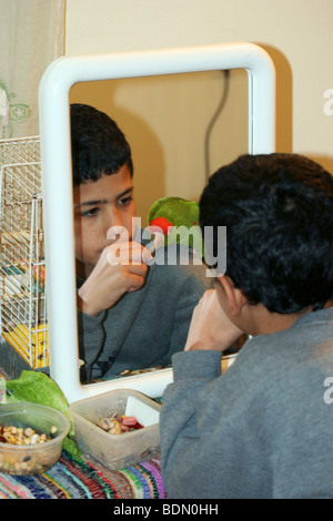 Reflexion in einem Spiegel eines kleinen Jungen füttert einen Papagei auf der Schulter Stockfoto