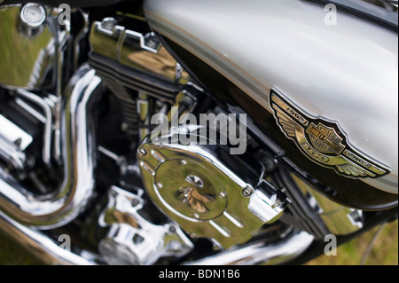 Harley Davidson Fatboy Motorrad feiert 100 Jahre Stockfoto