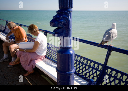 Eine Möwe wartet Fetzen, während ein paar ihr Essen auf dem Pier in Eastbourne, England. Stockfoto