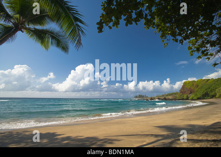 Hamoa Beach, Hana, Maui, Vereinigte Staaten Stockfoto