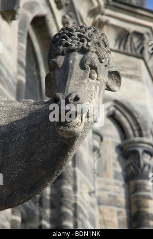 Bamberg, Dom, Domkuh am Suedwestturm Stockfoto