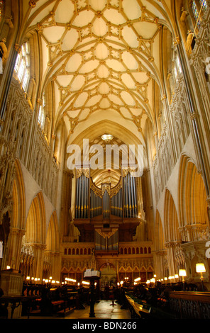 Wallfahrtskirche St.-Andreas Kathedrale, Wells, Somerset, England, Vereinigtes Königreich Stockfoto