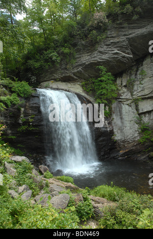 Looking Glass Wasserfall im Pisgah National Park in North Carolina. Stockfoto