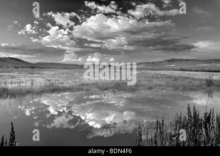 Sonnenuntergang Wolken über Teich. Black Rock Desert National Conservation Area. Nevada Stockfoto