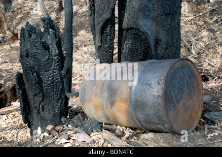 Verwüstung nach Buschfeuern Stockfoto