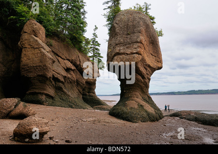 Zwei Touristen, die gerne bei Mutter im Gesetz Blumenmeer Topf Stapeln in Hopewell Rocks Bay Of Fundy New Brunswick, Kanada Stockfoto