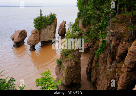 Flower Pot sea Stacks Liebhaber arch und Bär mit Flut in Hopewell Rocks Bucht von Fundy New Brunswick Kanada Stockfoto