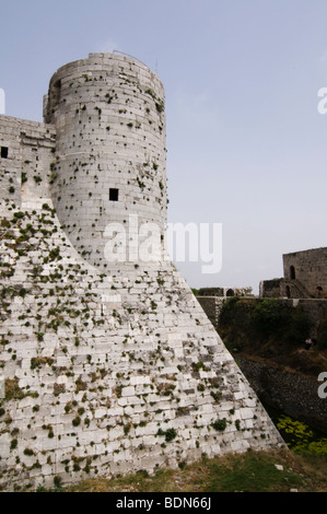 Krak des Chevaliers, Kreuzfahrerburg, Syrien. Stockfoto