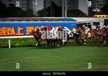 Eine endgültige Galopp bis zum Ziel in einer Nacht Pferd Rennveranstaltung in Happy Valley Pferderennbahn in Hong Kong. Stockfoto