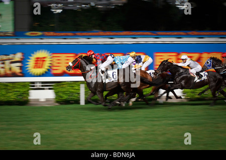 Eine endgültige Galopp bis zum Ziel in einer Nacht Pferd Rennveranstaltung in Happy Valley Pferderennbahn in Hong Kong. Stockfoto