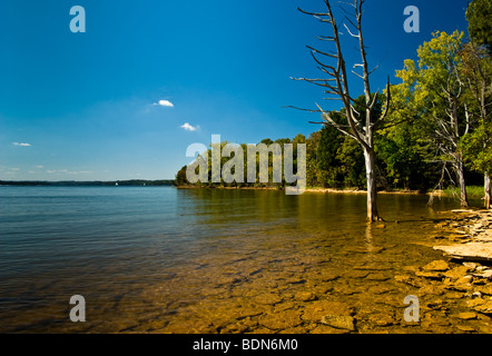 Küstenlinie von Percy Priest Lake in Nashville TN Stockfoto