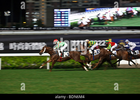 Pferde galoppieren in Richtung Ziel während einer Nacht Pferd Rennveranstaltung in Happy Valley Pferderennbahn in Hong Kong. Stockfoto